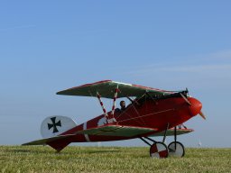 Modelle unserer Mitglieder