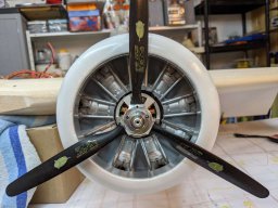 Modelle unserer Mitglieder