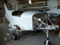 Selbstbau einer Pioneer 300 „Hawk“